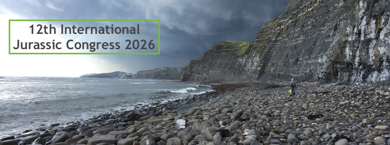 Lower Jurassic rocks at Lyme Regis